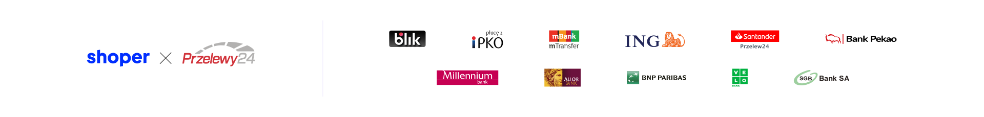 Metody płatności w sklepie – otwiera się w nowej karcie